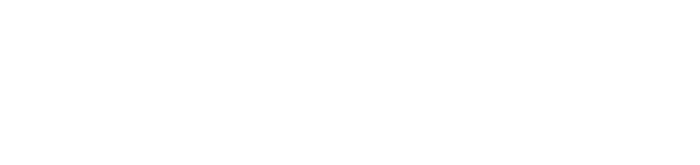 MVP, user test, beta test, and launch