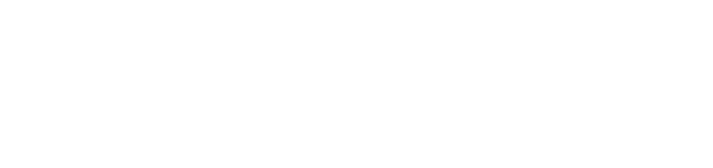 MVP, user test, beta test, and launch