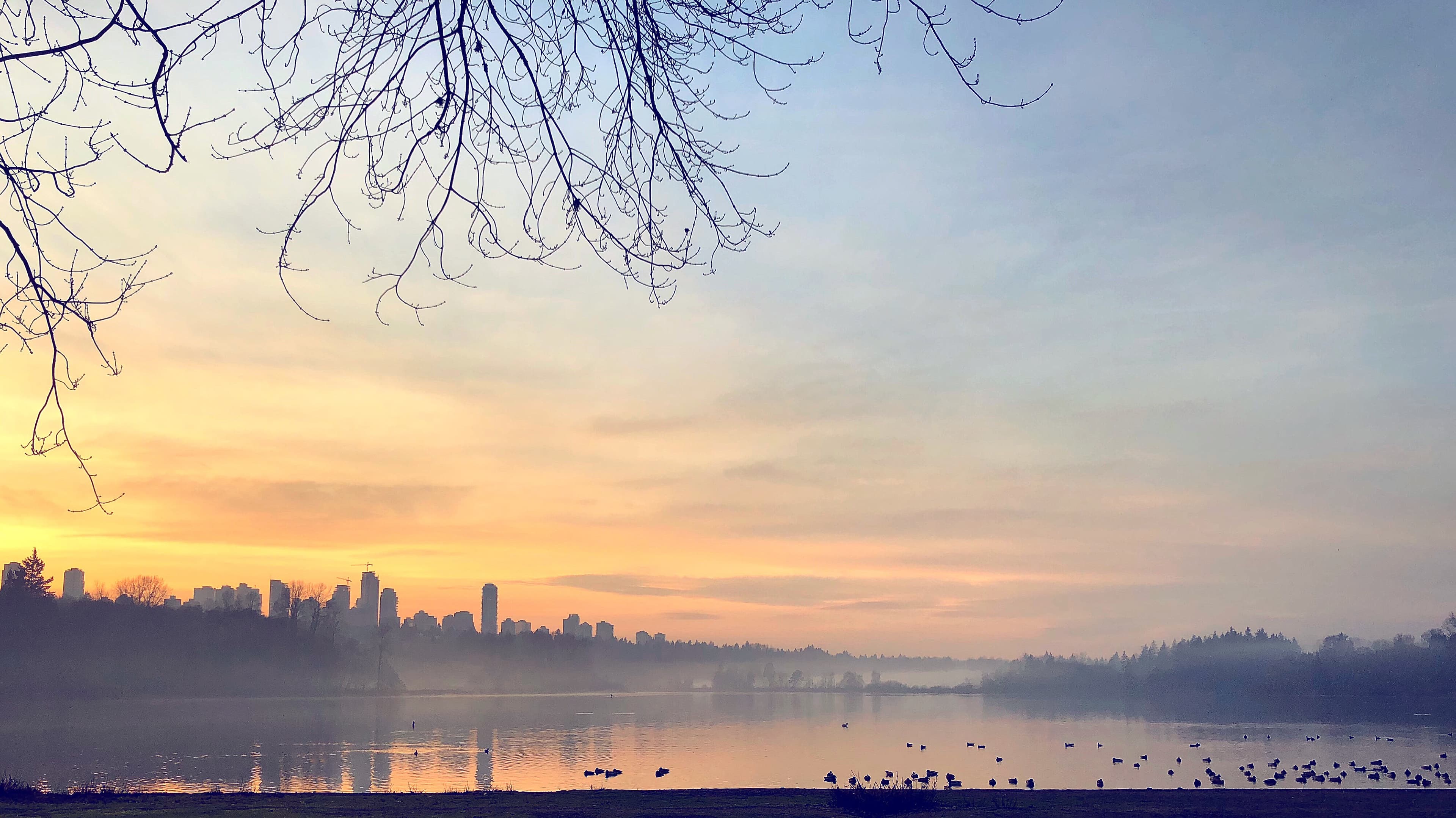 Lake with slight mist in sunset