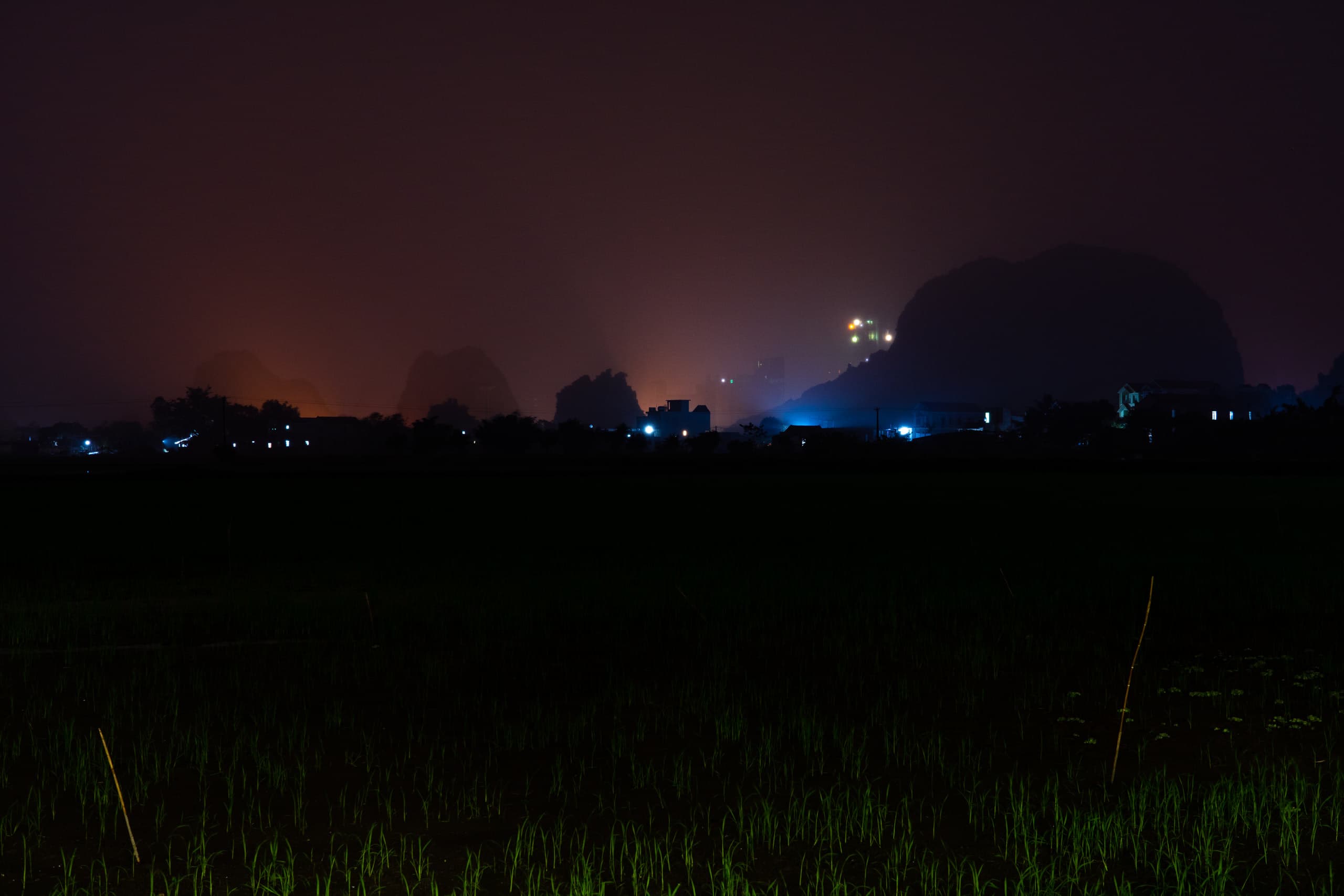 Ricefield at night with lights in fog at a distance