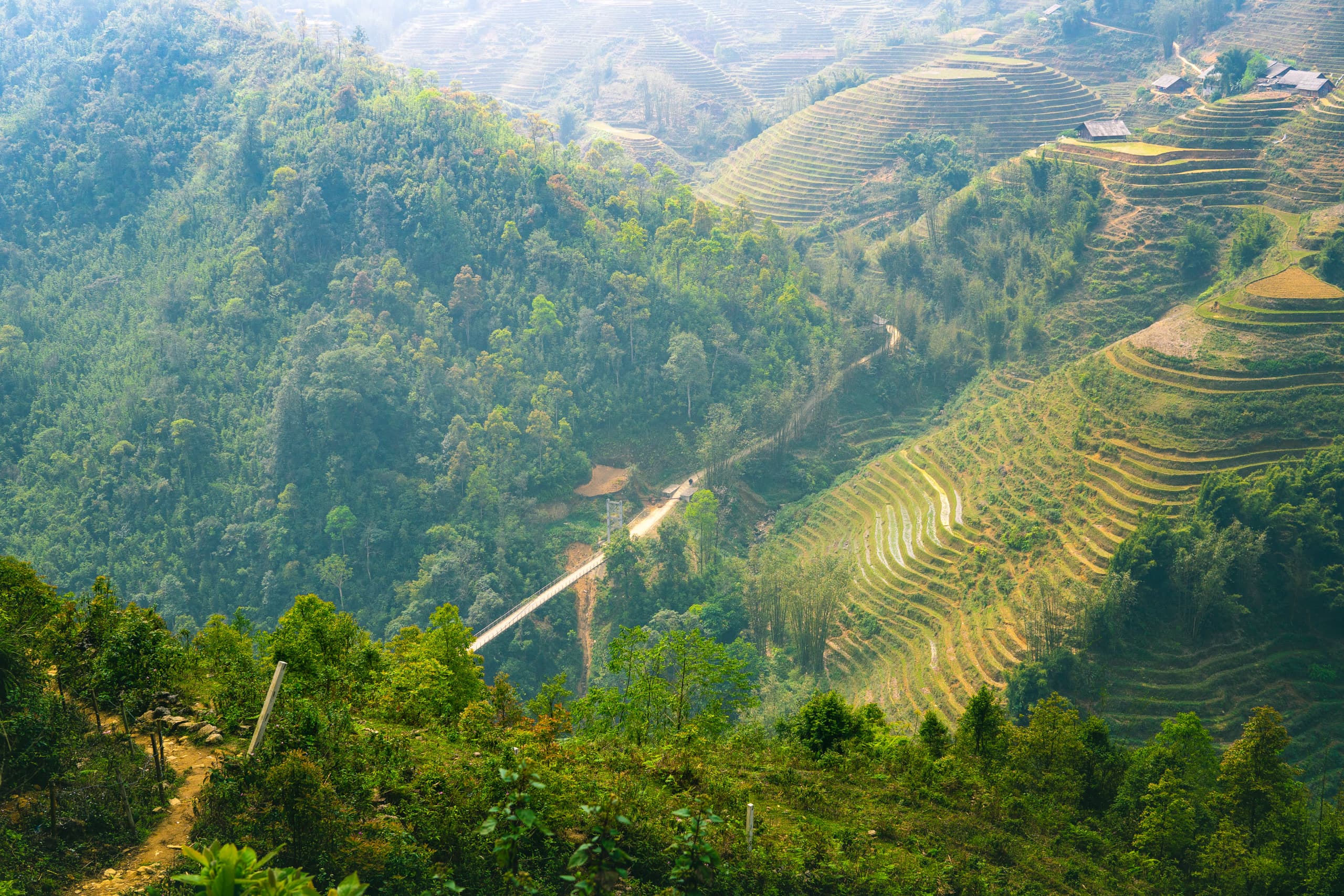 Jungle landscape with a bridge to terraced ricefields
