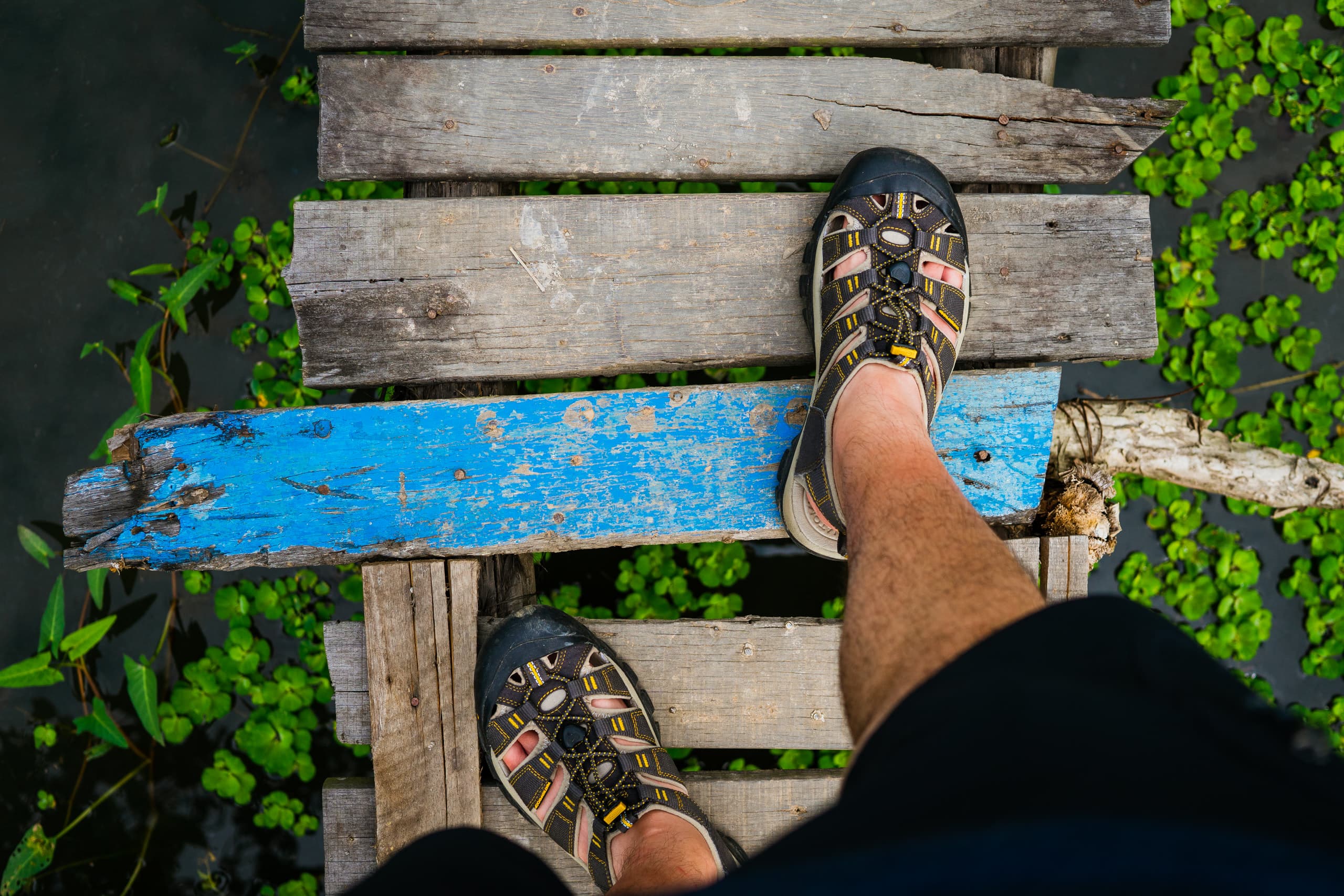 Birds eye view of legs walking on planks