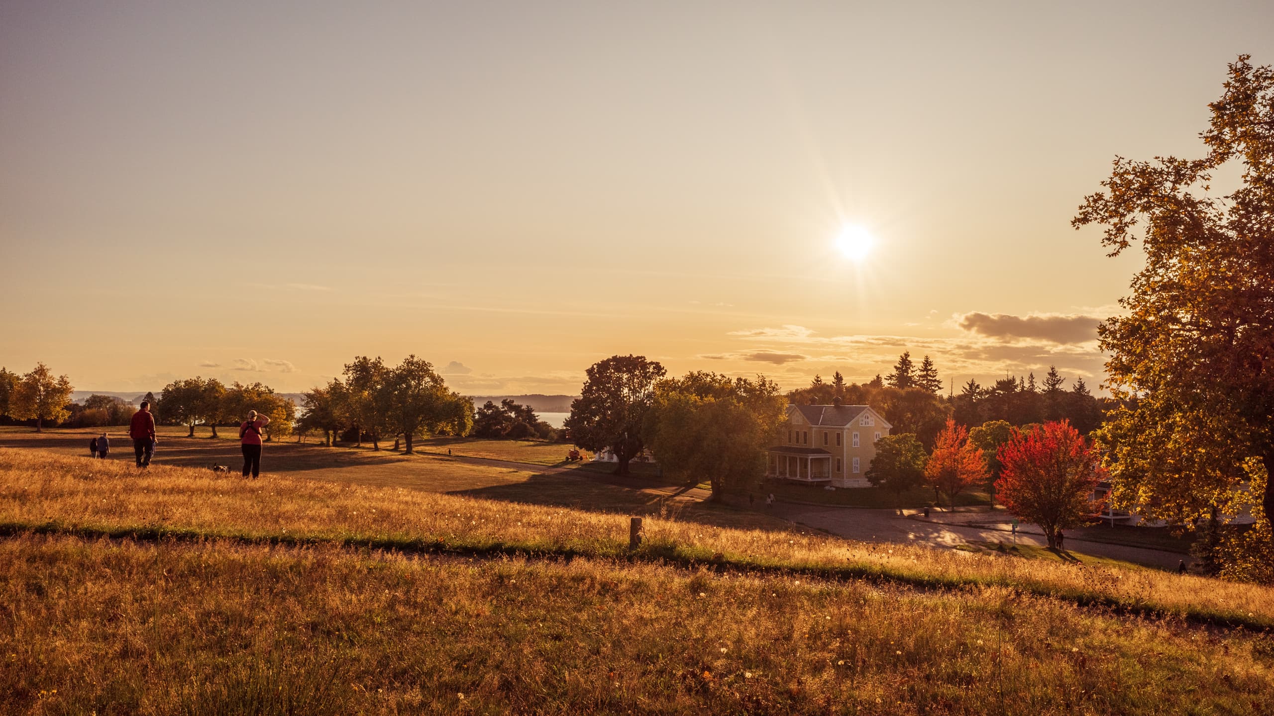 Autumn hill with residential building at a distance in Discovery Park