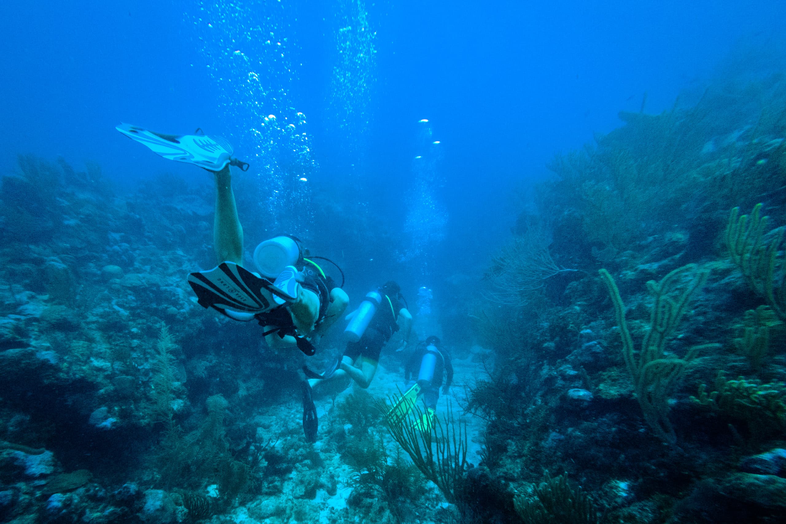 3 divers going into an underwater canyon