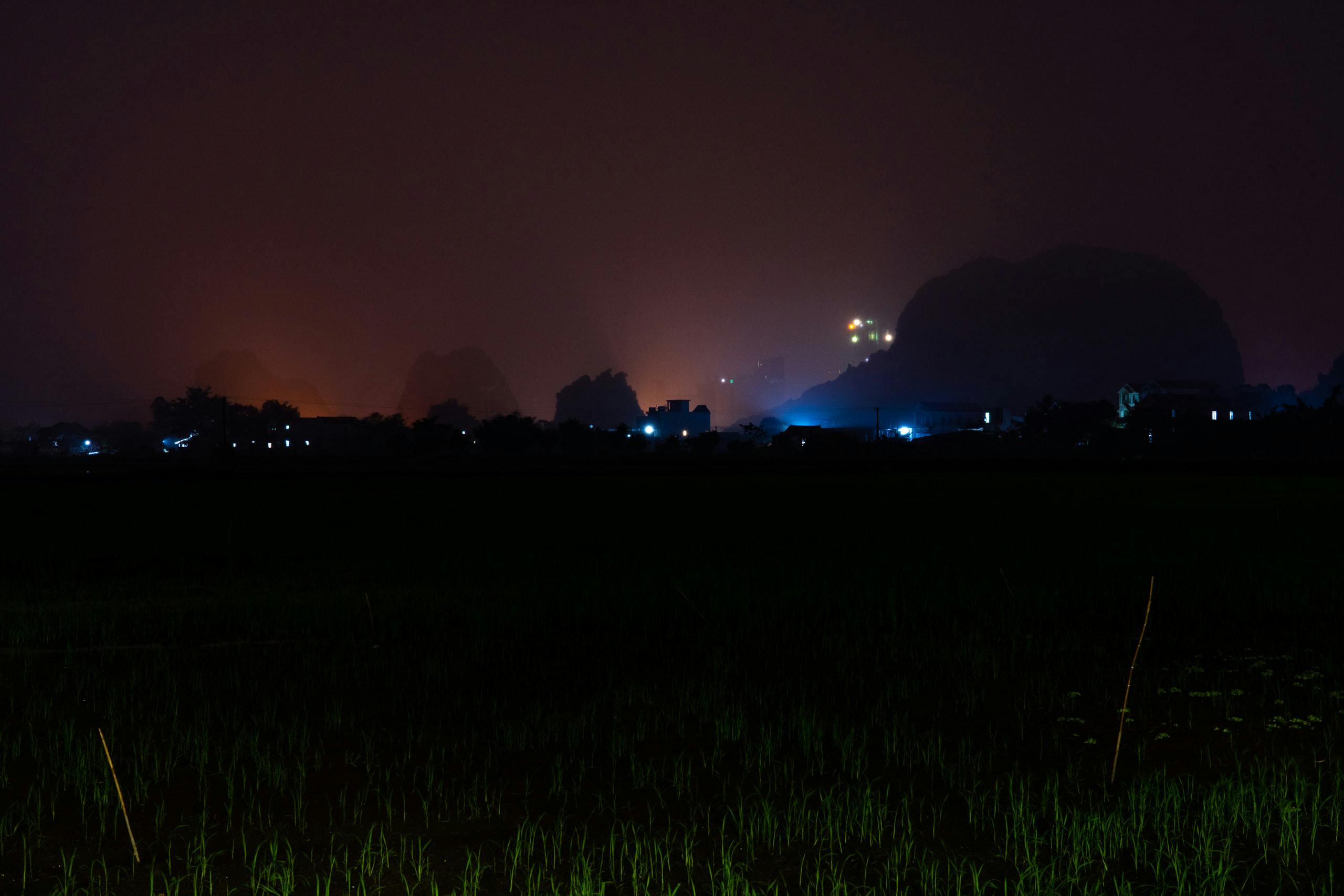 Ricefield at night with lights in fog at a distance