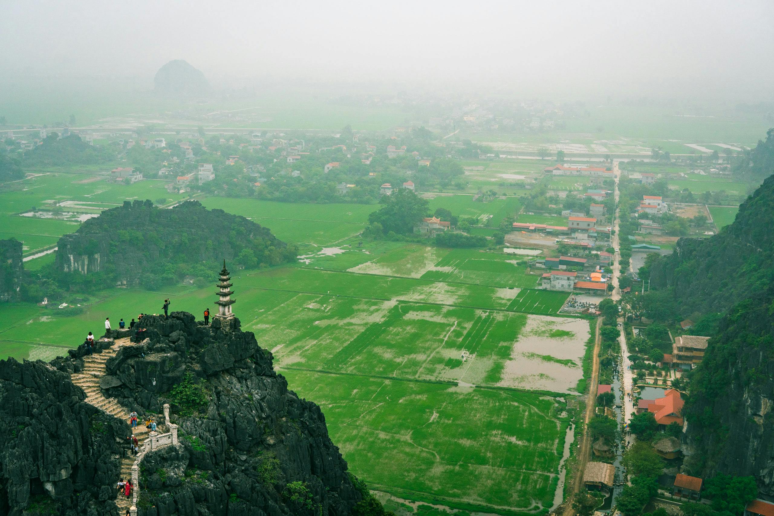 Foggy ricefield landscape from a high viewpoint