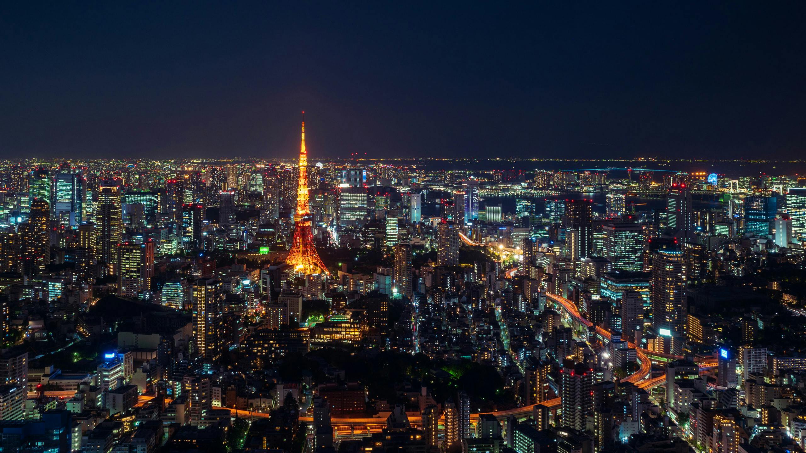 Tokyo city with Tokyo Tower in the foreground