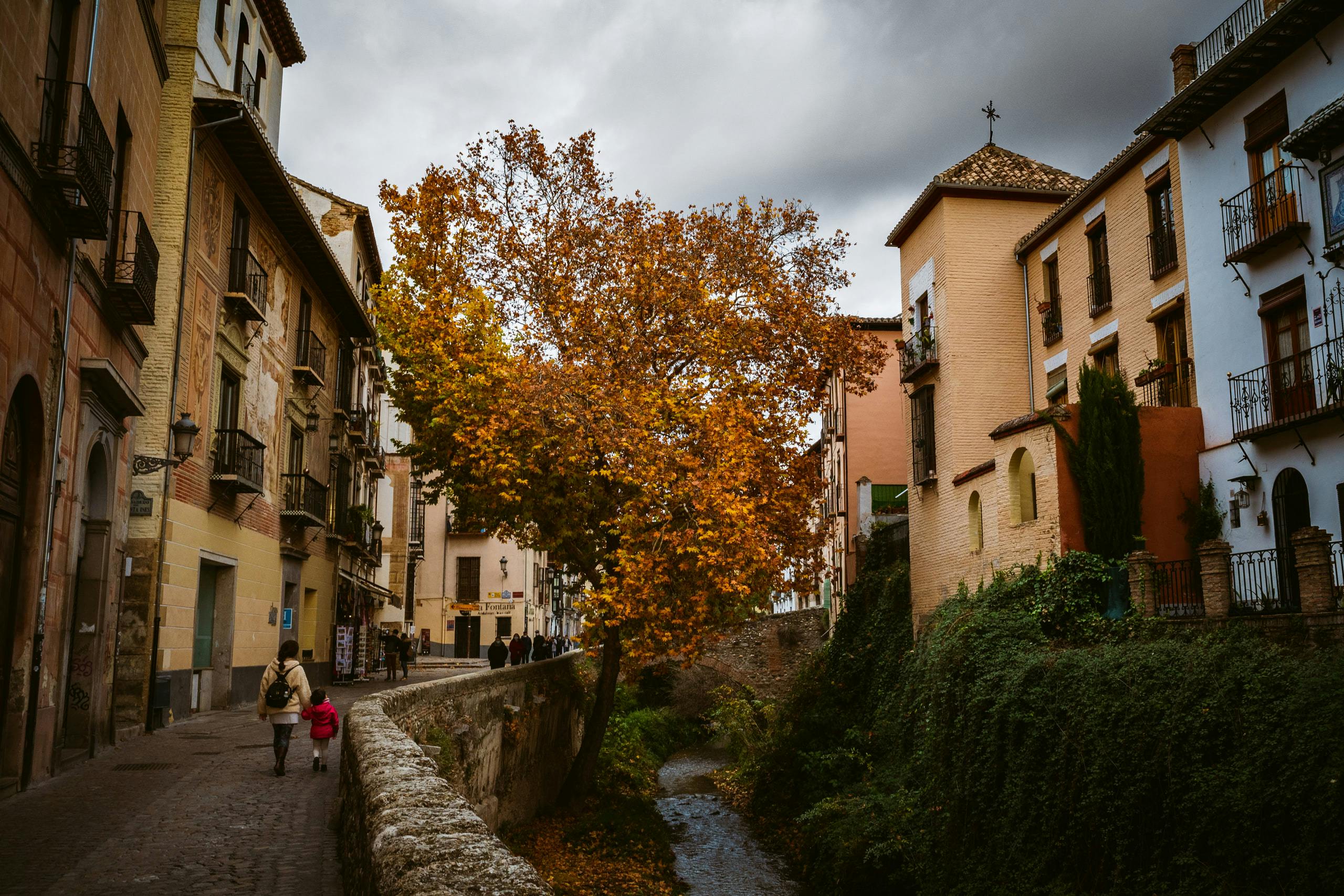 People walking on the street on the left, a tall autumn yellow tree in the center, and building sitting by the creek on the right