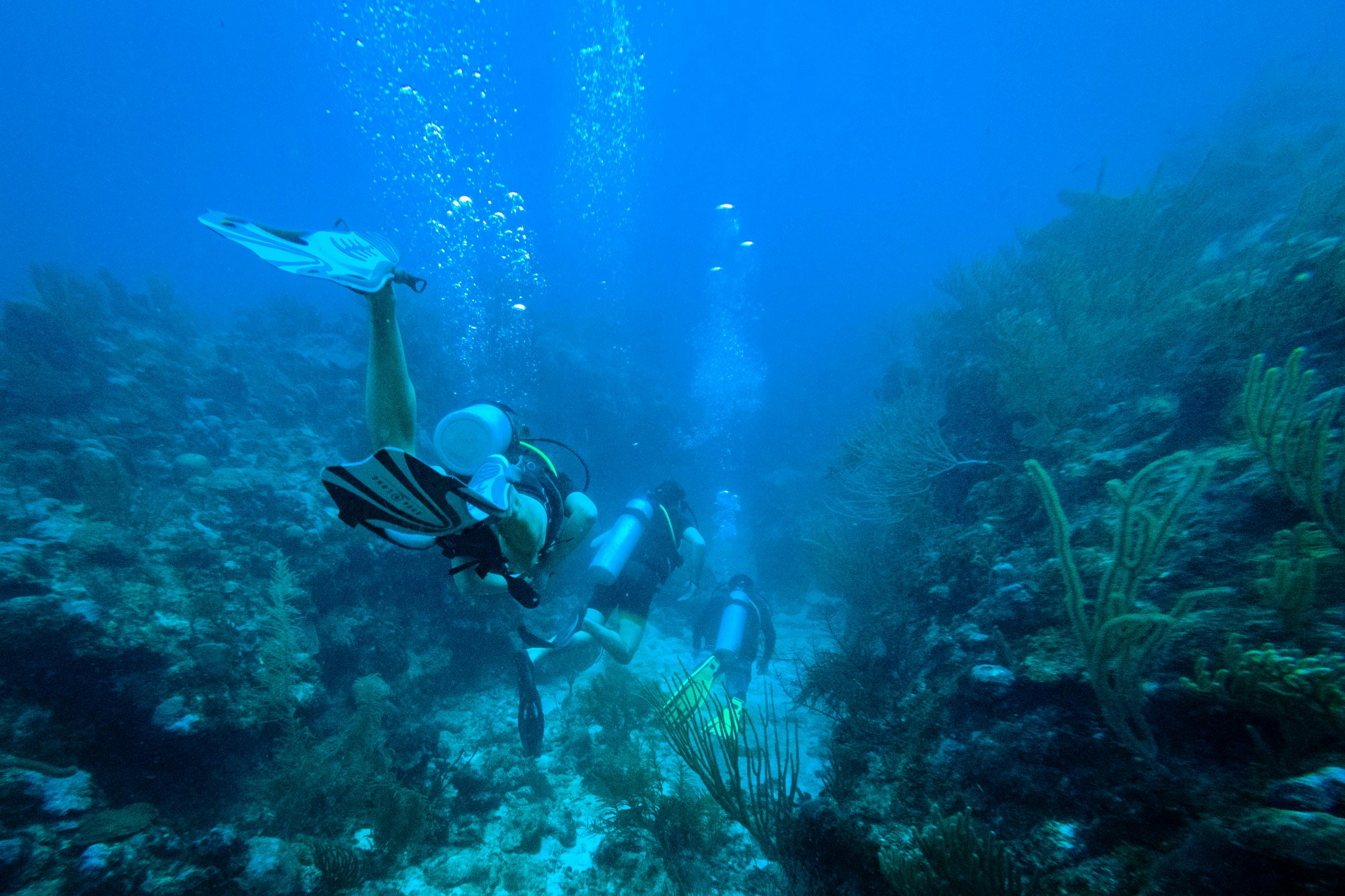 3 divers going into an underwater canyon